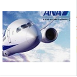 Introducción de ANA All Nippon Airways