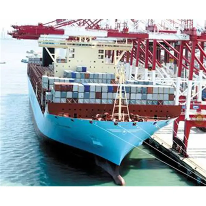 Comprensión de la carga marina: la columna vertebral del comercio global