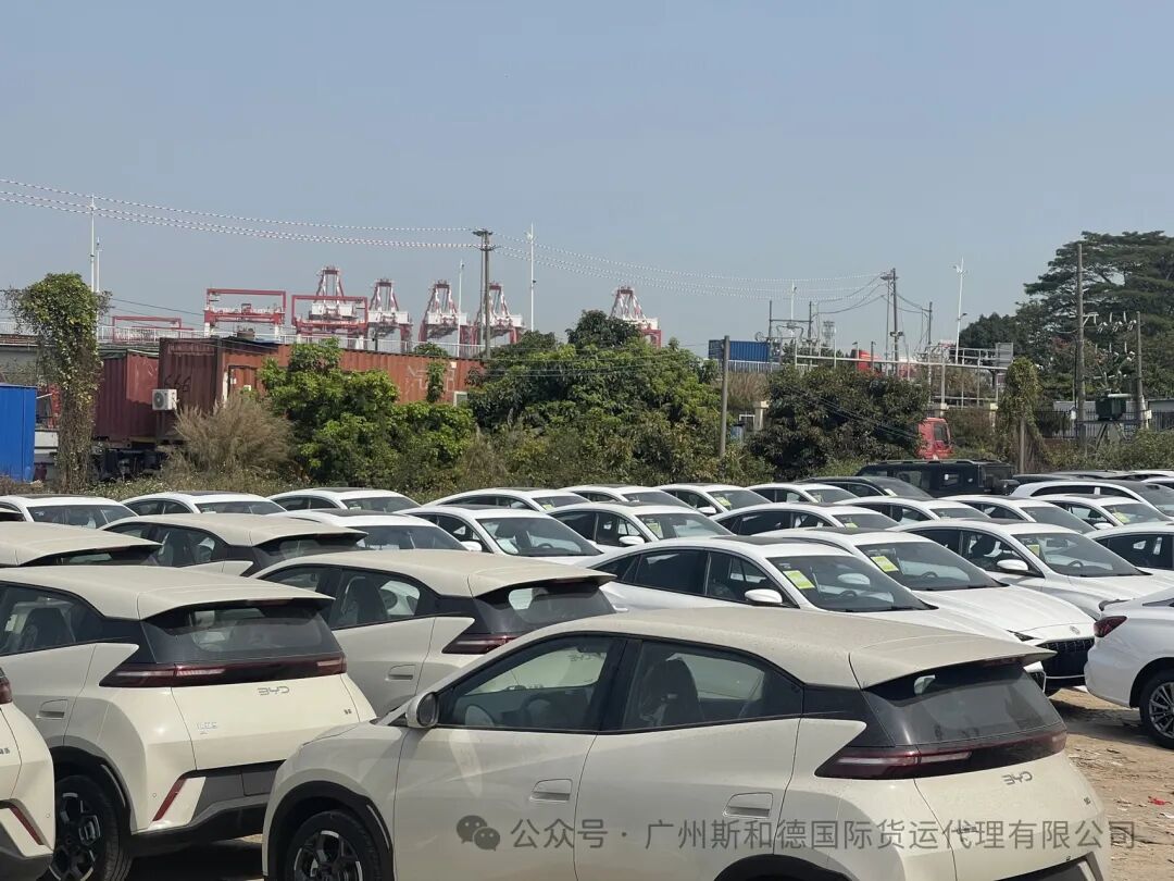 Transporte marítimo seguro de vehículos a África